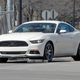 Illustration for article titled Is This The 2015 Ford Mustang 50th Anniversary Edition?